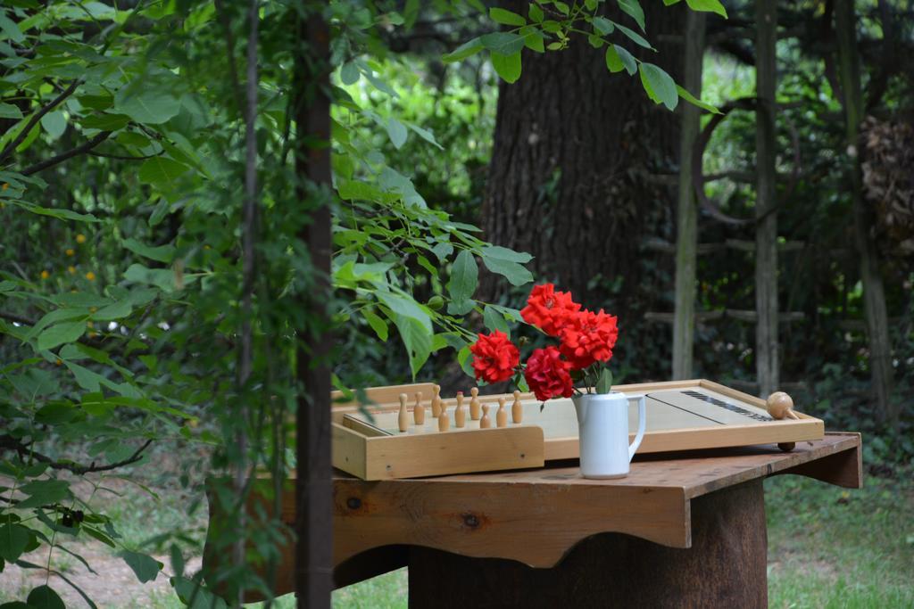 Apartment Im Garten 9 غارغازون المظهر الخارجي الصورة