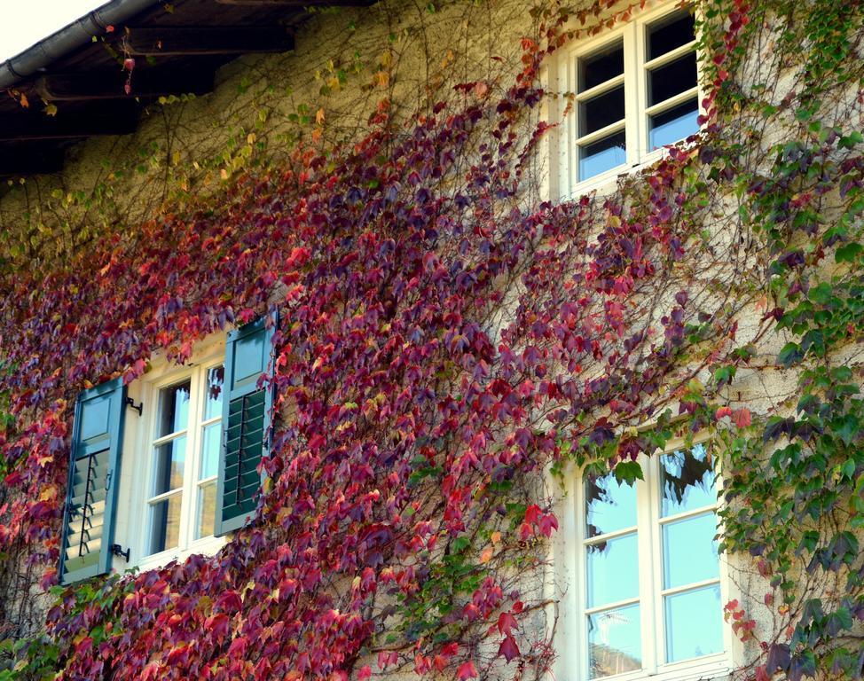 Apartment Im Garten 9 غارغازون المظهر الخارجي الصورة